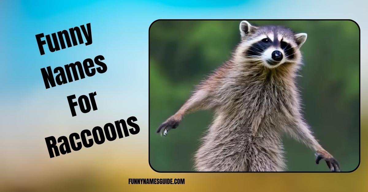 Funny Names For Raccoons