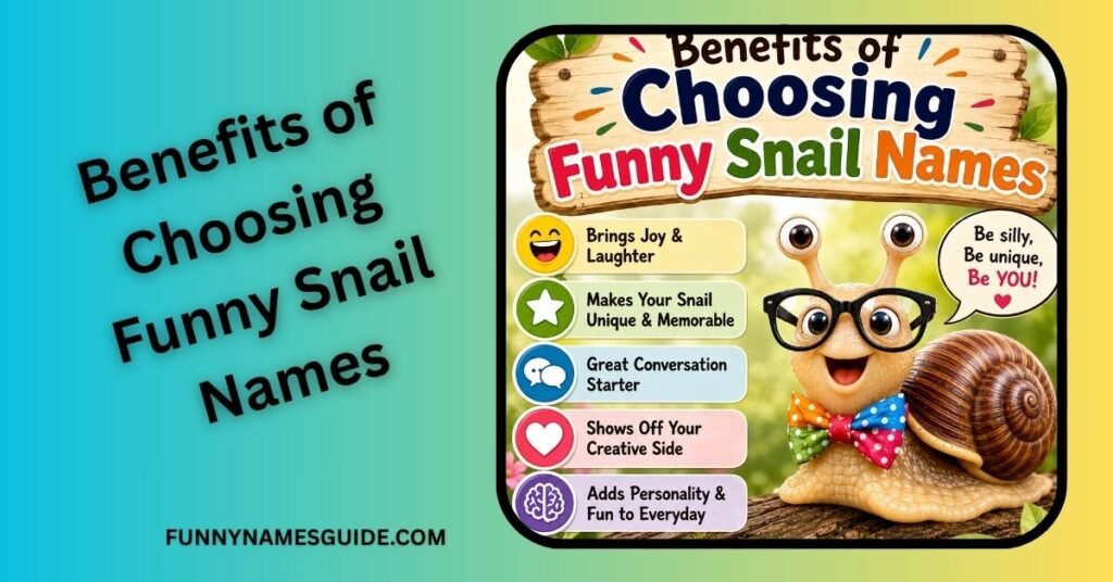 Funny Snail Names: Hilarious Ideas You'll Love 2026 2 Benefits of Choosing Funny Snail Names