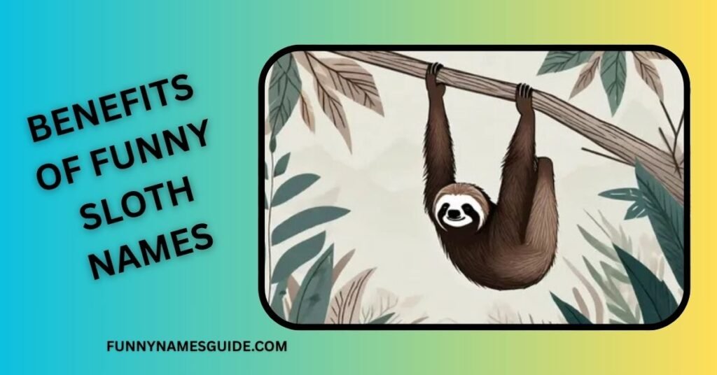 Benefits of Funny Sloth Names