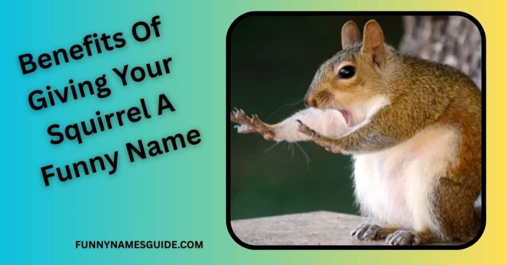 Benefits Of Giving Your Squirrel A Funny Name