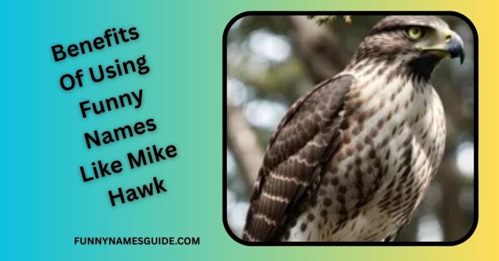 Benefits of Using Funny Names Like Mike Hawk