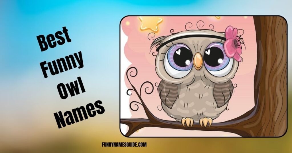 Best Funny Owl Names