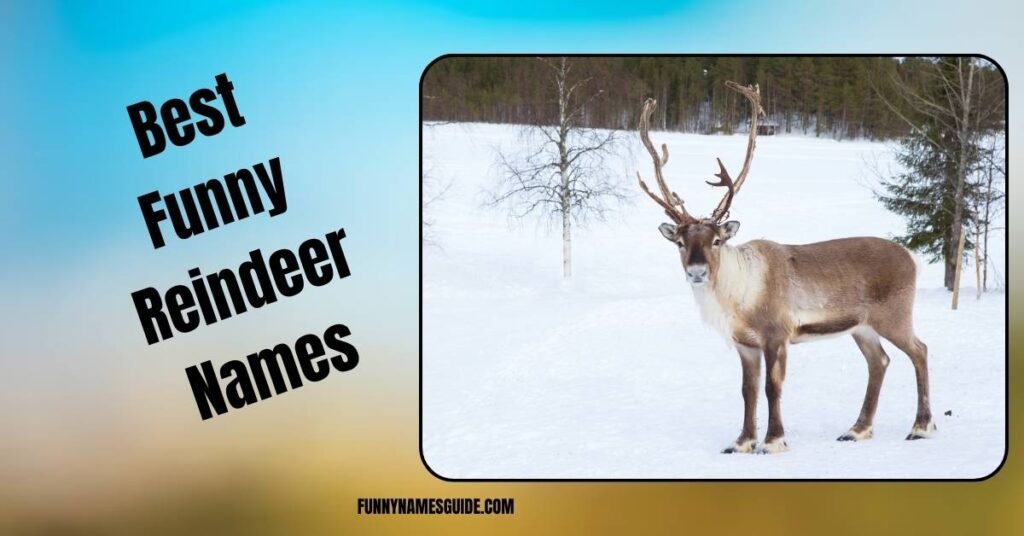 Best Funny Reindeer Names