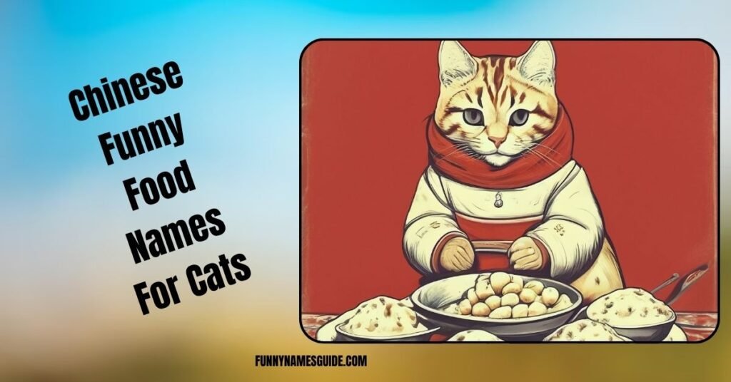 Chinese Funny Food Names For Cats