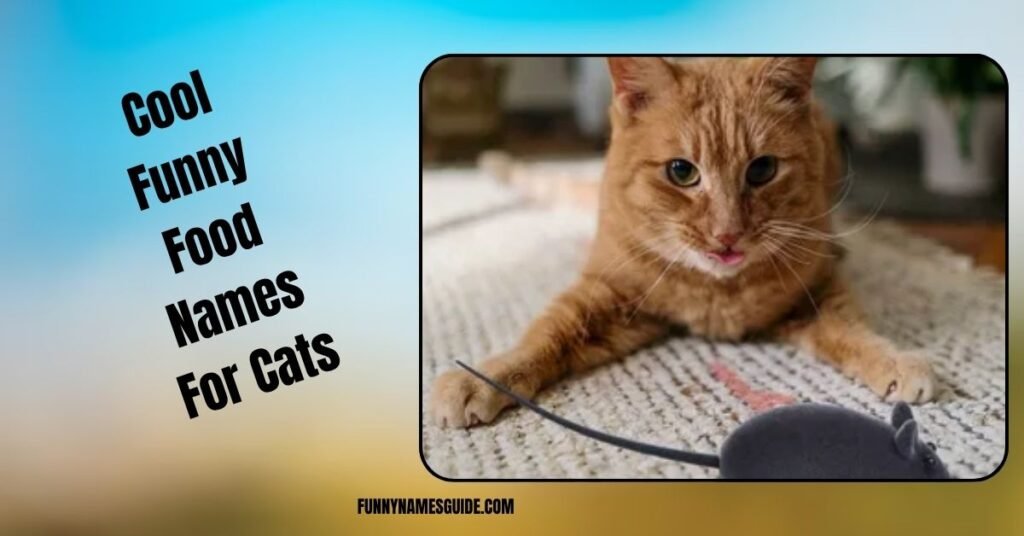 Cool Funny Food Names For Cats