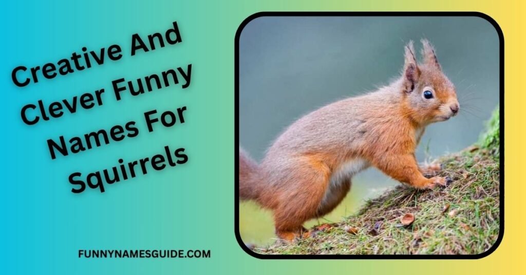 Creative And Clever Funny Names For Squirrels