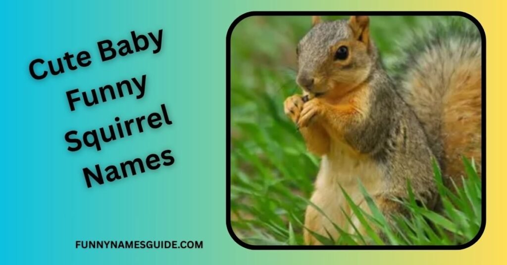 Cute Baby Funny Squirrel Names