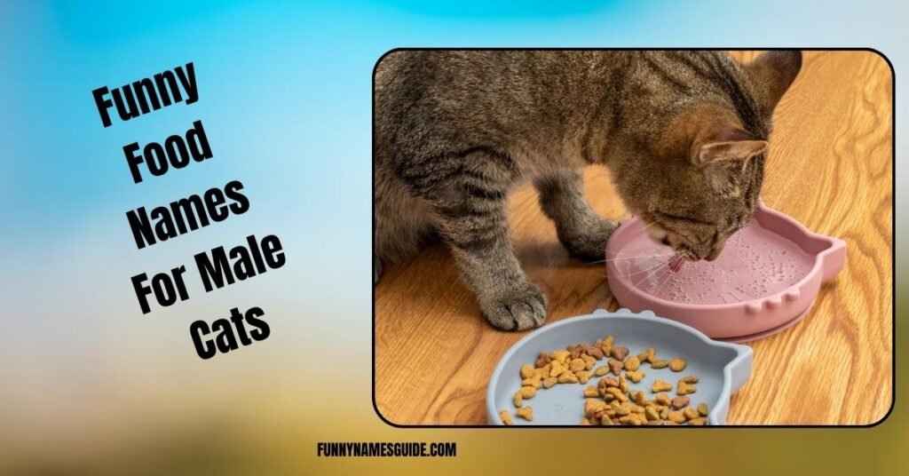 Funny Food Names For Male Cats