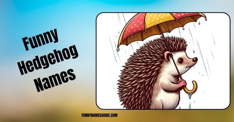 Funny Hedgehog Names