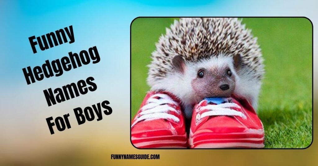 Funny Hedgehog Names For Boys