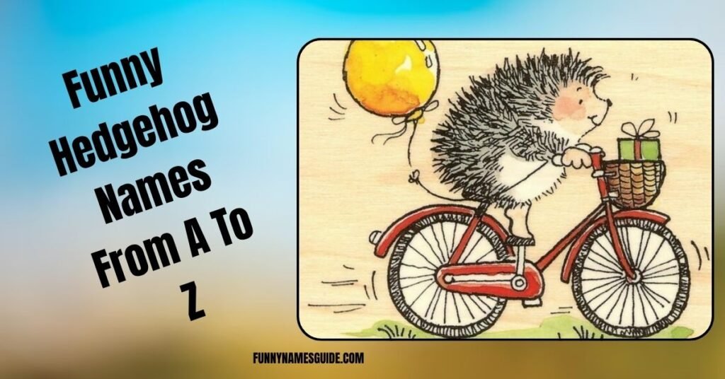 Funny Hedgehog Names From A To Z