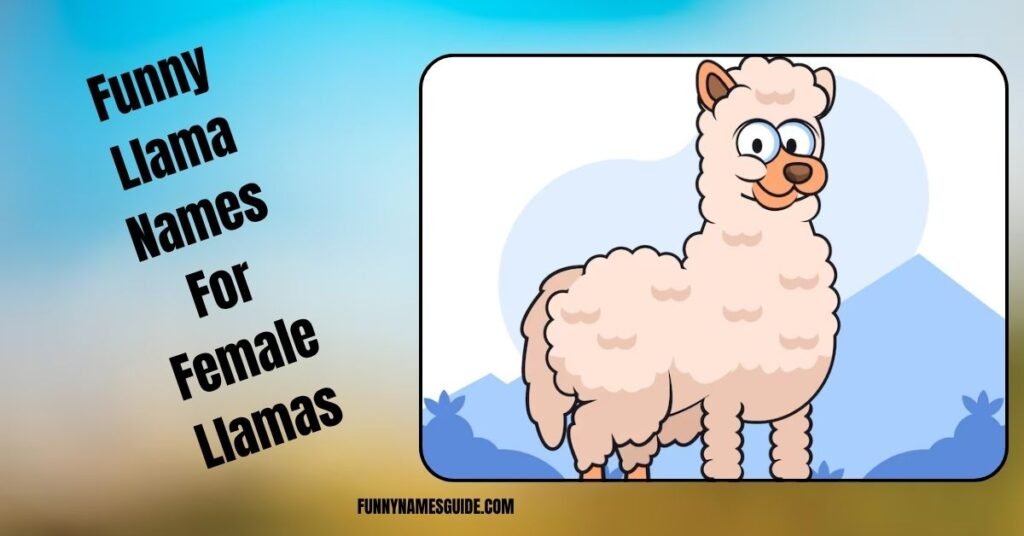 Funny Llama Names For Female Llamas
