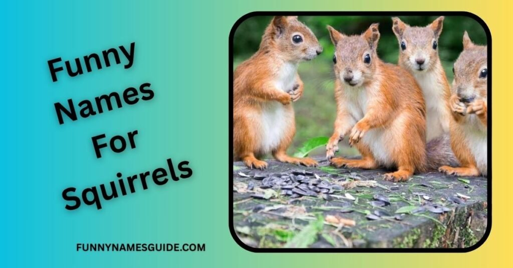 Funny Names For Squirrels