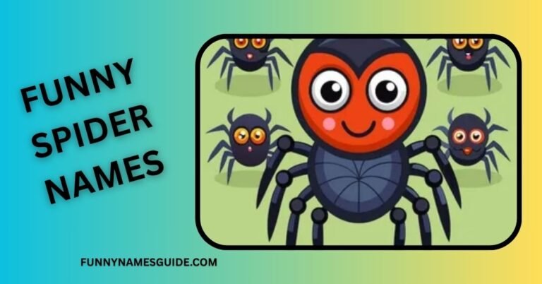 Funny Spider Names