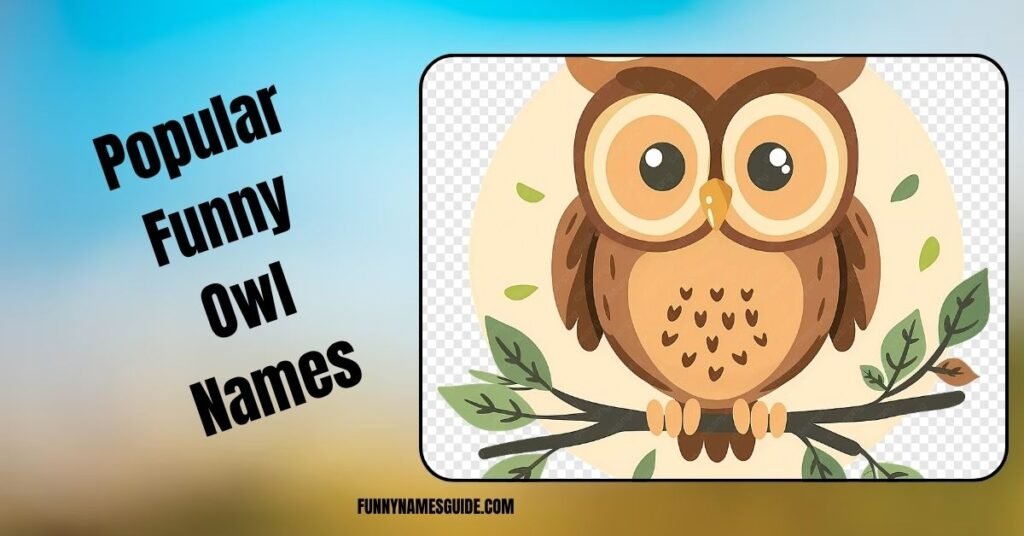 Popular Funny Owl Names