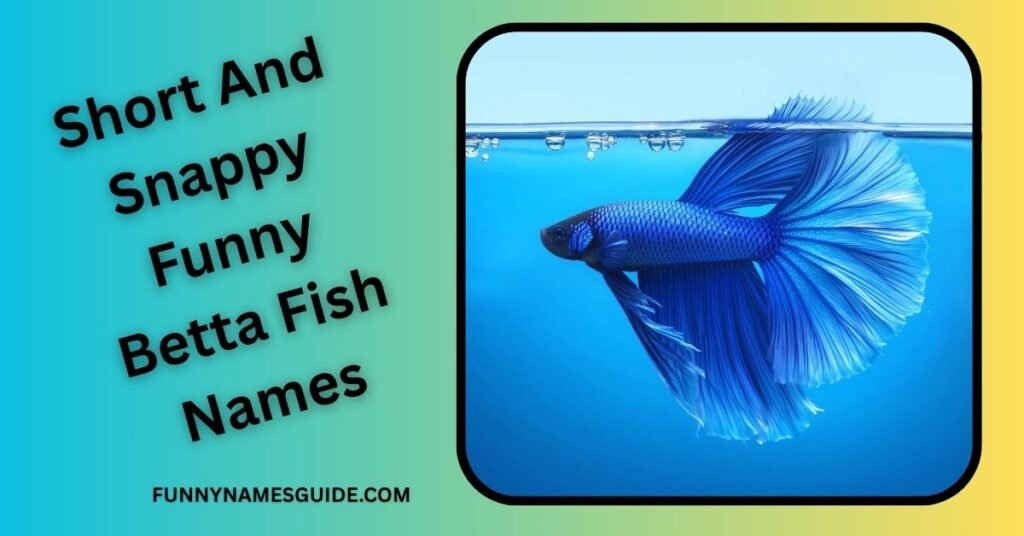 Short And Snappy Funny Betta Fish Names