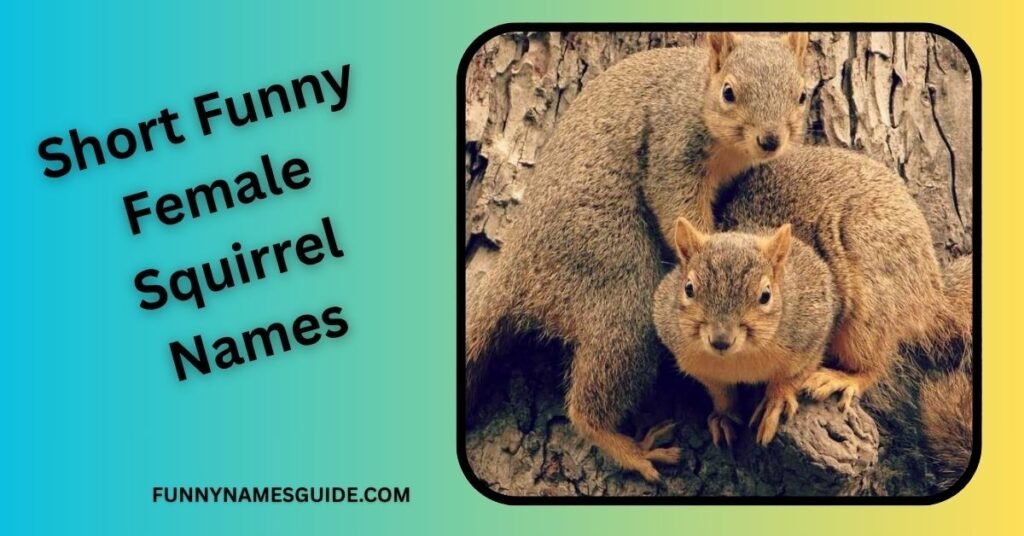 Short Funny Female Squirrel Names