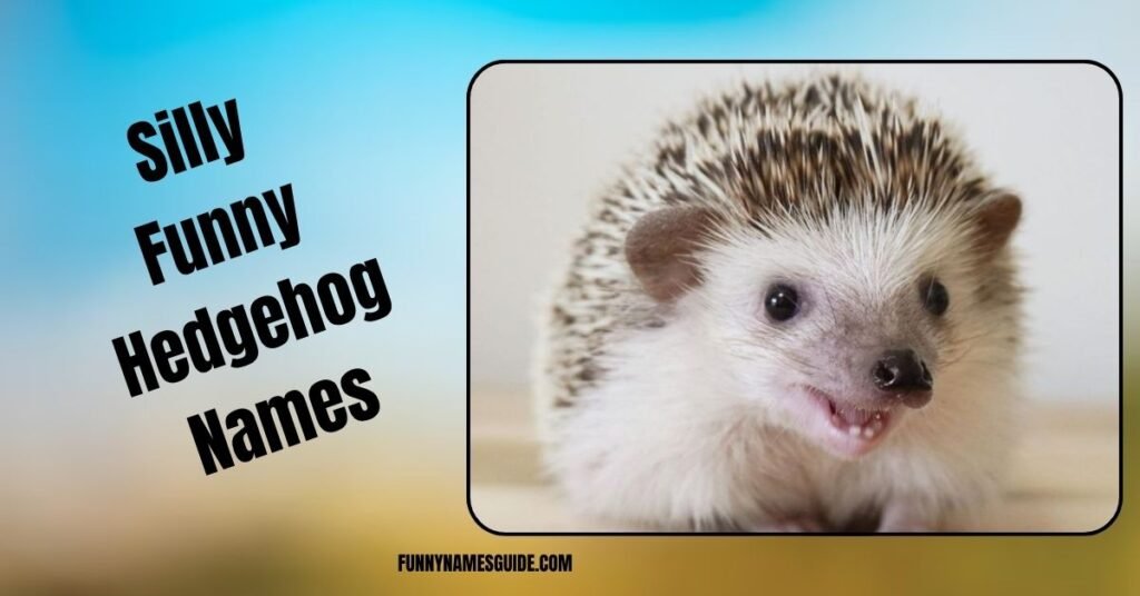 Silly Funny Hedgehog Names