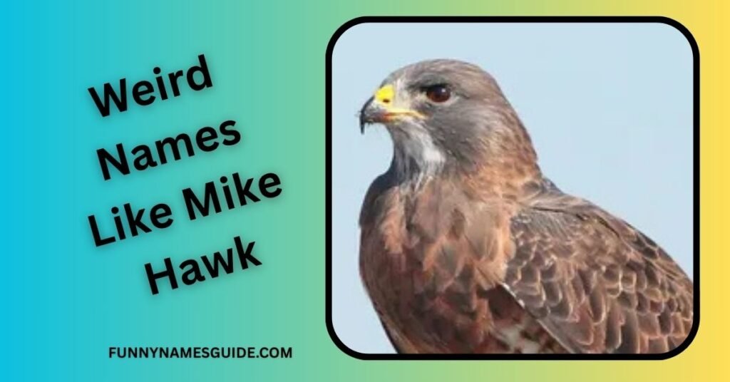 Weird Names Like Mike Hawk